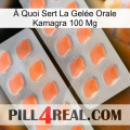 À Quoi Sert La Gelée Orale Kamagra 100 Mg 27